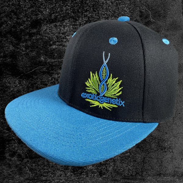 Black Fitted Hat with Blue Leaf