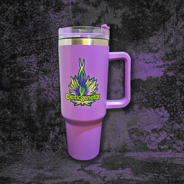 Purple Stanley  Cup design, Purple, Bubbles